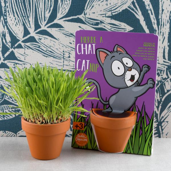 Radis et Capucine - Kit de jardinage - Herbe à Chat - MEDIA_EN_SITUATION_2